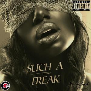 Such A Freak (Explicit)