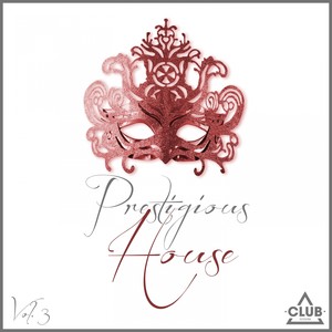 Prestigious House, Vol. 3