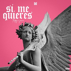 Sí, Me Quieres (Explicit)