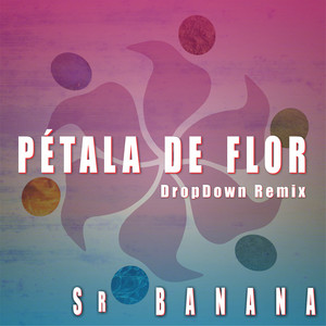 Pétala de Flor (Dropdown Remix)