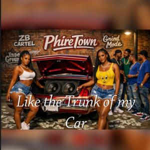 Like the Trunk of my car (feat. Tweety) (Explicit)