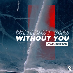 Without You