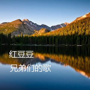 兄弟们的歌 (伴奏)封面