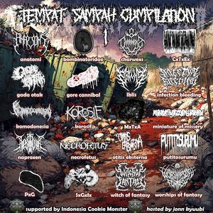 acrokeratoelastoidosis punctate palmoplantar keratoderma