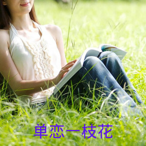 琵琶行-齐羽&苏可可