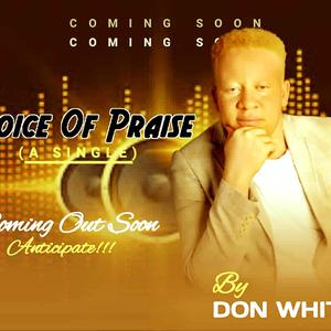 Voice of Praise (feat. The Anointed Gospel Crew)