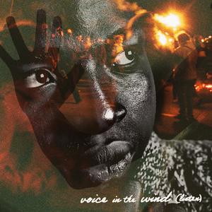 Voice in the Wind(Listen)