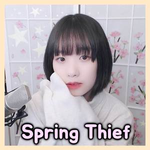 Spring Thief