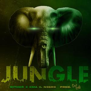 Jungle(feat. Ema il N3gro & Grey Pinsky) (Explicit)