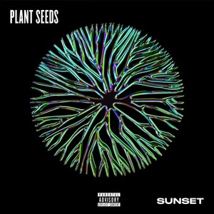 Plant Seeds