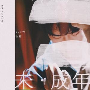 少年的模样