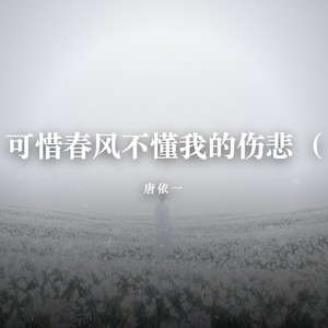 可惜春风不懂我的伤悲-唐依一
