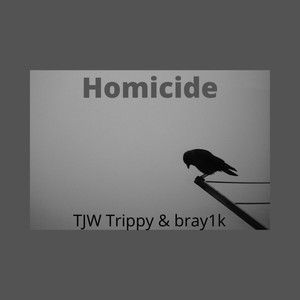 Homicide (Explicit)