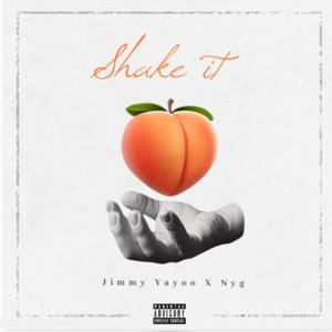 Shake It (feat. NYG) [Explicit]