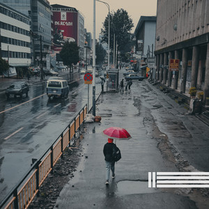 森林雨封面