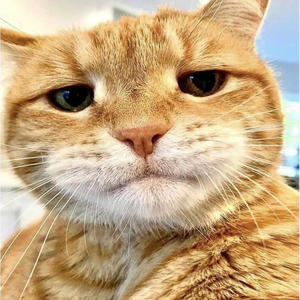 Pah pah (Naim Diss) (feat. Pooka) (Explicit)