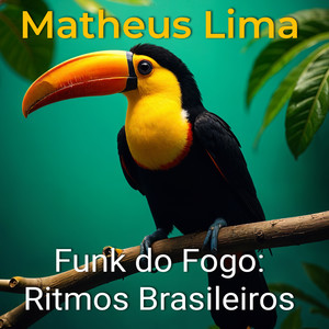 Funk do Fogo: Ritmos Brasileiros