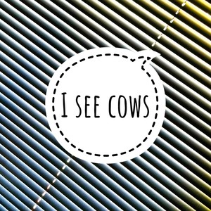 I see cows (feat. C-Zar & U-Gene)