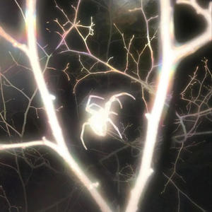 off track (feat. RERI) (Explicit)