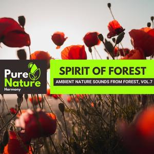 Spirit of Forest - Ambient Nature Sounds from Forest, Vol.7