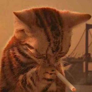 Quarantine (Explicit)