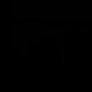 Speaking on gang (feat. Li rent & Lil moon) (Explicit)