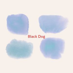 Led Zeppelin - Black Dog (Complete version originally performed by Led Zeppelin)