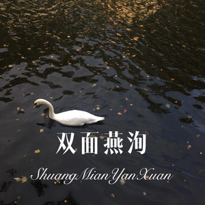 双面燕洵 (Remix)