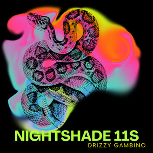 Nightshade 11s (Explicit)