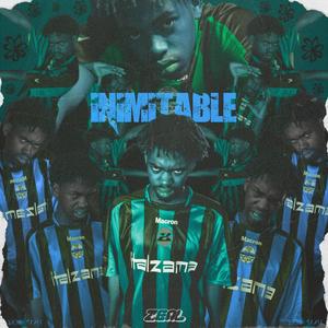 Inimitable (Instrumentals)