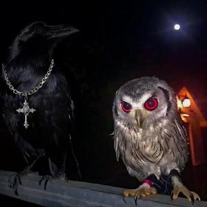 Leak Stars (feat. Wickiboi & Yng $anteen) (Explicit)