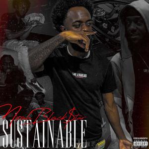 Sustainable (Explicit)