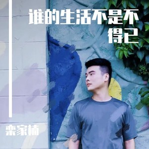 谁的生活不是不得已