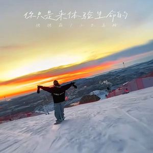 你只是来体验生命的