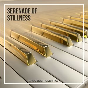 Serenade of Stillness: Piano and Nature Sounds