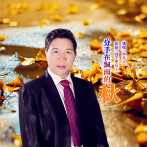 分手在飘雨的秋