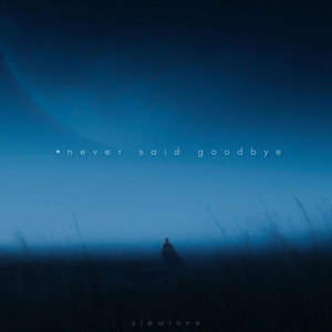 never said goodbye