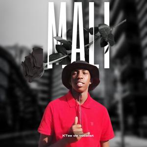 Mali (feat. Killogramz SA & Tukeyz Malati) (Radio Edit)