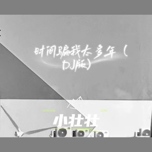 时间骗我太多年 (DJ版)