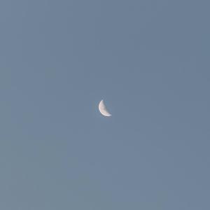 the moon was trying to hide from you