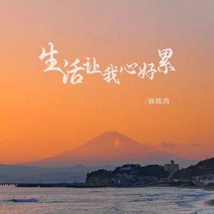 生活让我心好累 (DJ彭锐版)