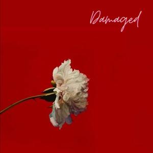 Damaged (Explicit)