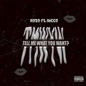 Tell Me What You Want (feat. Aicco)
