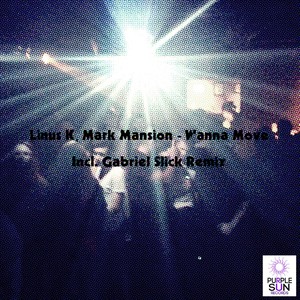 Wanna Move (Gabriel Slick Remix)