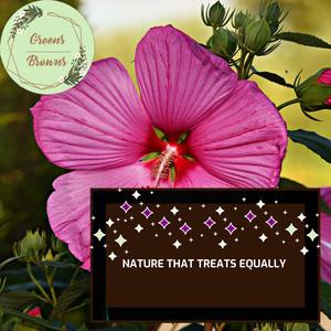 Nature That Treats Equally