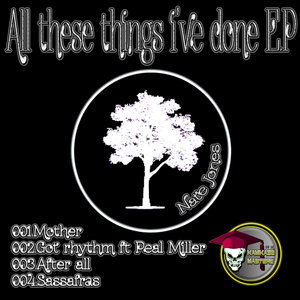All the Things I Have Done EP