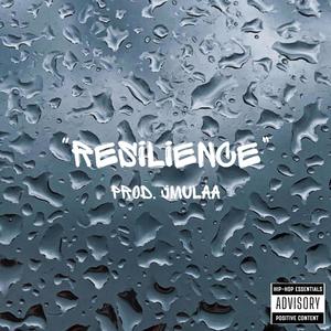 Resilience