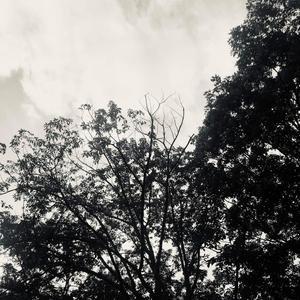 Tension (Explicit)