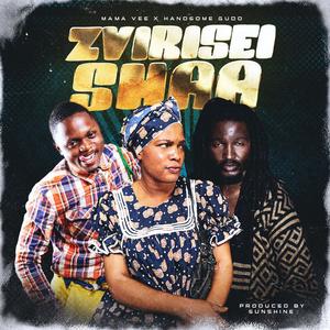 Zvirisei Shaa (feat. Handsome Gudo) [Radio Edit]