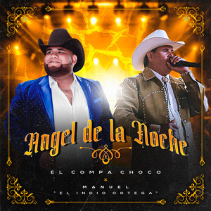 El Angel de la Noche